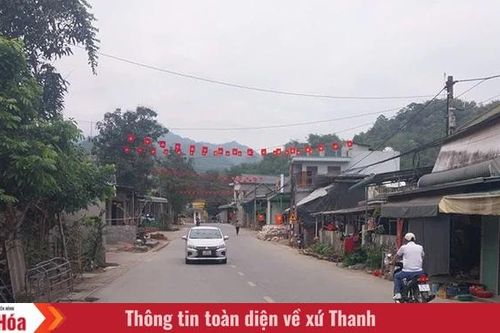 Khi đại ngàn 'cất cánh' (Bài 1): Những con đường ấm no