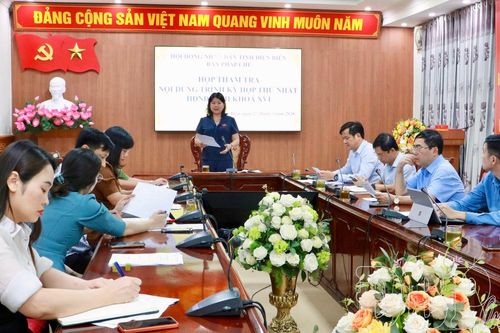 Ban Pháp chế, HĐND tỉnh thẩm tra nội dung trình Kỳ họp thứ Nhất, HĐND tỉnh khóa XVI