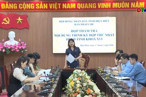 Ban Pháp chế thẩm tra nội dung trình kỳ họp thứ nhất, HĐND tỉnh khóa XVI
