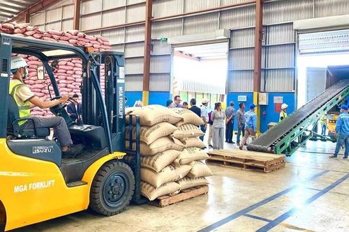 Bảo hộ thương hiệu ở thị trường quốc tế: Doanh nghiệp không thể chậm chân