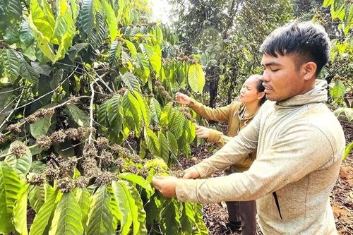 Đak Sơmei thay đổi nếp nghĩ, cách làm để giảm nghèo bền vững