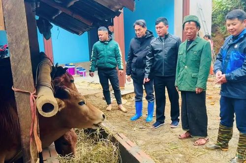 Xã Hạnh Phúc: Dư nợ tín dụng chính sách đạt 137.868 triệu đồng