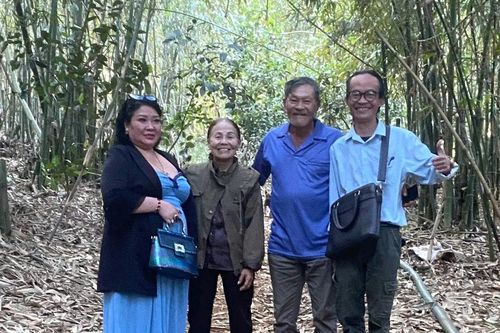 Tiềm năng vùng nguyên liệu tre rừng