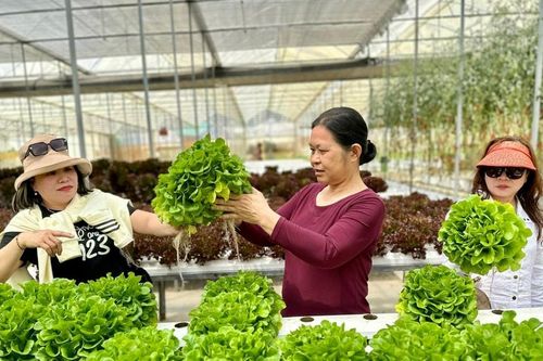 Kết nối tiêu thụ sản phẩm OCOP Lâm Đồng qua xúc tiến thương mại