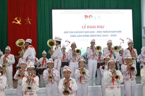 192 chỉ huy Đội, phụ trách Sao tỉnh Lâm Đồng tranh tài