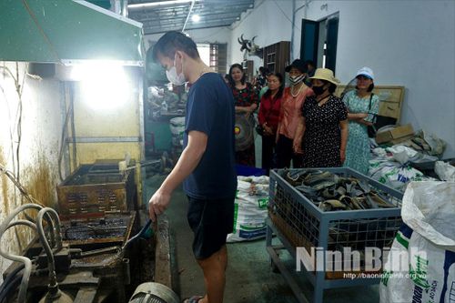 TYM chi nhánh Nam Định tổ chức tham quan mô hình sản xuất, kinh doanh