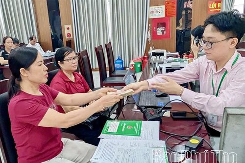 Hơn 160 lao động có việc làm ổn định từ vốn vay giải quyết việc làm