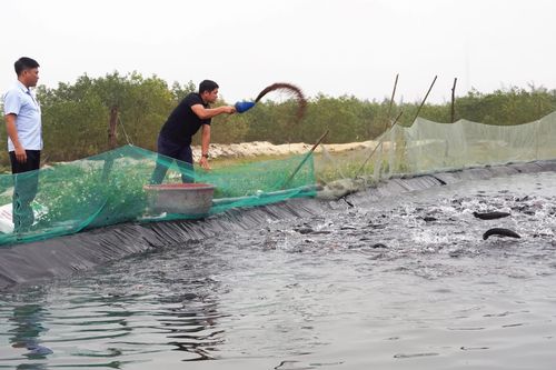 Đảng viên trẻ làm kinh tế giỏi