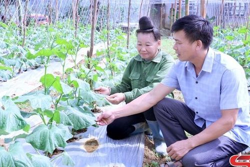 Đẩy mạnh phát triển nông nghiệp theo hướng hàng hóa