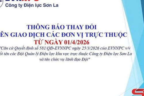 Công ty Điện lực Sơn La đổi tên các đội quản lý điện lực khu vực từ ngày 01/4/2026