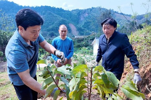 Khoa học, công nghệ - Động lực cho sản xuất ở vùng cao