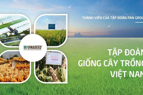 Vinaseed (NSC): Thành viên HĐQT từ nhiệm trước thềm ĐHĐCĐ thường niên 2026