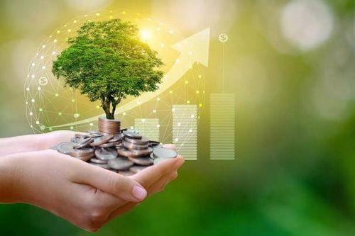 Doanh nghiệp khó tiếp cận tín dụng xanh, nút thắt nằm ở đâu?