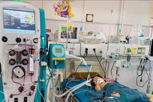 Lọc máu kéo dài 53 giờ cứu sống học sinh 6 tuổi bị sốc phản vệ do ong khoái đốt