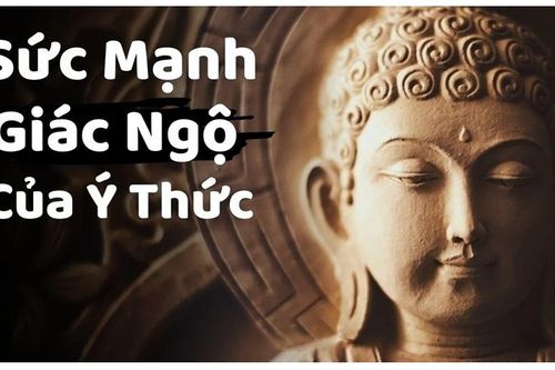 Cơ chế 'huân tập' và 'chuyển y' trong duy thức học: Thay đổi tận gốc các thói quen tâm lý tiêu cục (P.2 - Hết)