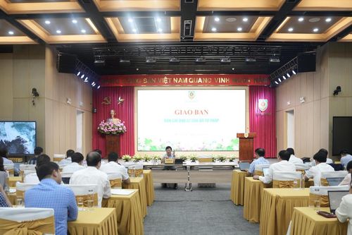 Tăng tốc triển khai nhiệm vụ chuyển đổi số trong Bộ Tư pháp