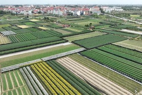 Chính thức phát động Giải báo chí toàn quốc về 'tam nông' năm 2026 và Thi ảnh 'Nông thôn Việt Nam 40 năm đổi mới'
