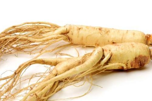 Thời điểm tốt nhất dùng nhân sâm tăng năng lượng và cải thiện trí não