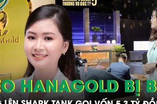 Nữ CEO 9x đứng sau HanaGold vừa bị bắt, từng lên Shark Tank gọi vốn 5,3 tỷ đồng