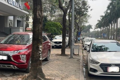 Áp lực đỗ xe đô thị: Không còn 'vùng xám' cho vi phạm