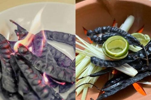 Đốt bồ kết đem lại những lợi ích gì?