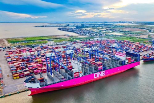 Giảm tối thiểu 10% giá dịch vụ hoa tiêu hàng hải với tàu thuyền Việt Nam