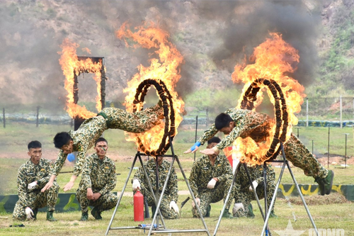 Khổ luyện thành tài của Bộ đội Đặc công