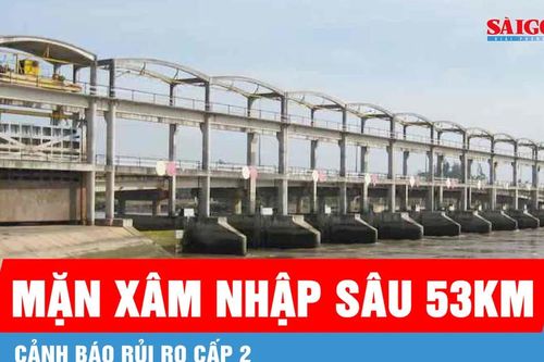 Vĩnh Long: Mặn xâm nhập sâu 53km, cảnh báo rủi ro cấp 2