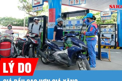 Vì sao giá dầu cao hơn giá xăng?