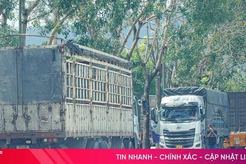 Phương tiện dừng đỗ tùy tiện tại khu vực cổng B - KKT Cửa khẩu quốc tế Cầu Treo