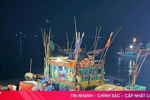 Hà Tĩnh phát huy hiệu quả từ khai thác hải sản bền vững