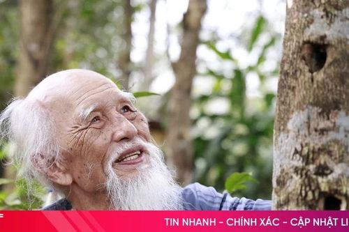 Người gieo 'vàng thơm' ở vùng trầm Hà Tĩnh