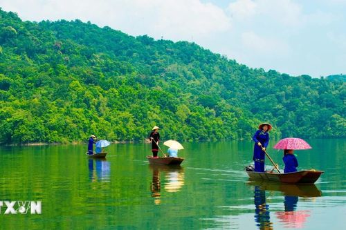 Việt Nam nhận gần 1.900 tỷ đồng từ Quỹ khí hậu xanh cho dự án giảm phát thải rừng