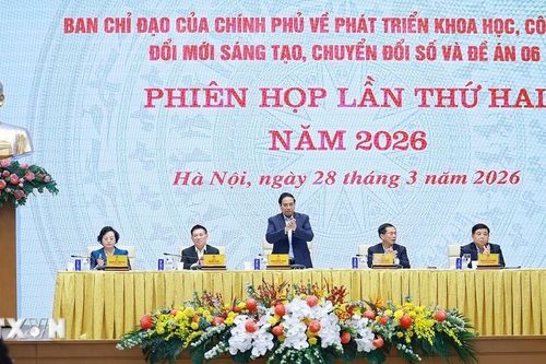 Phiên họp lần thứ hai của Ban Chỉ đạo về phát triển khoa học công nghệ