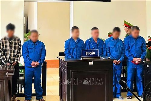 Bản án nghiêm khắc cho nhóm đối tượng thực hiện hàng loạt vụ cướp để mua ma túy