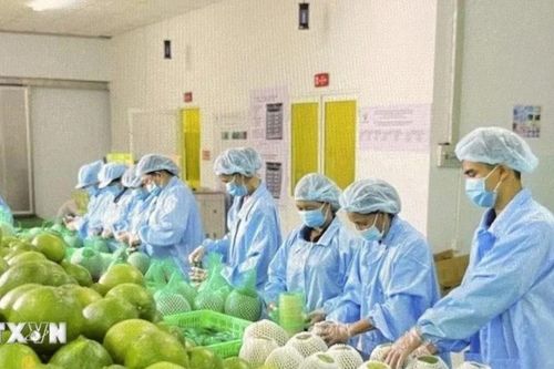 Số hóa 'lý lịch' nông sản để thâm nhập những thị trường khó tính