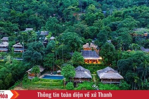 Khi đại ngàn 'cất cánh' (Bài 2): Khi tiềm năng không còn... 'ngủ quên'