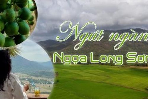 Ngút ngàn Ngọa Long Sơn