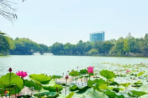 [Chùm ảnh] Không gian công cộng nâng tầm đô thị trung tâm Ðồng Nai
