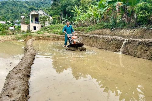 Chuyển đổi cơ cấu cây trồng, vật nuôi