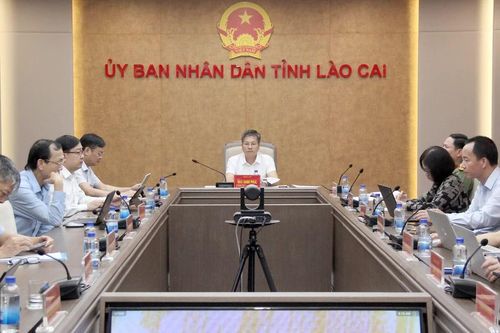 Lào Cai tham dự phiên họp về phát triển khoa học, công nghệ, đổi mới sáng tạo, chuyển đổi số và Đề án 06