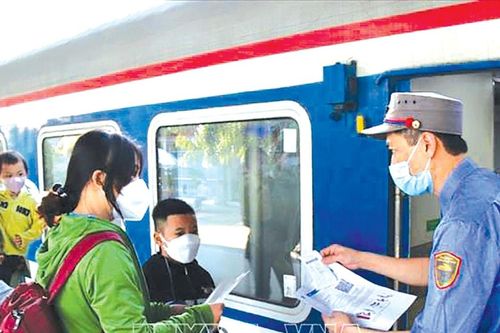 Phạt từ 10 - 15 triệu đồng đối với cá nhân bán vé tàu giả