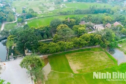 Phát huy giá trị Lễ hội Hoa Lư trong dòng chảy đương đại