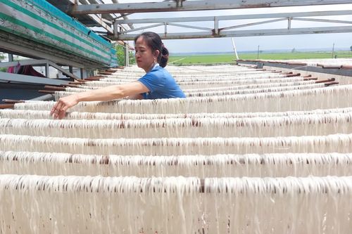 Từ hạt gạo đến sợi miến sạch