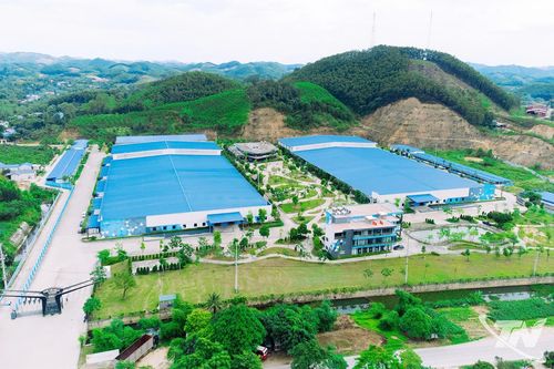 Chuyển đổi xanh để phát triển bền vững
