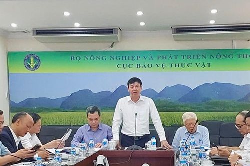 Doanh nghiệp phân bón tăng sản xuất, giữ nguồn cung giữa biến động chi phí
