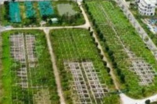 Điều tra mở rộng vụ lừa đảo mua bán đất nền 'dự án' tại Công ty Đại Phúc Real
