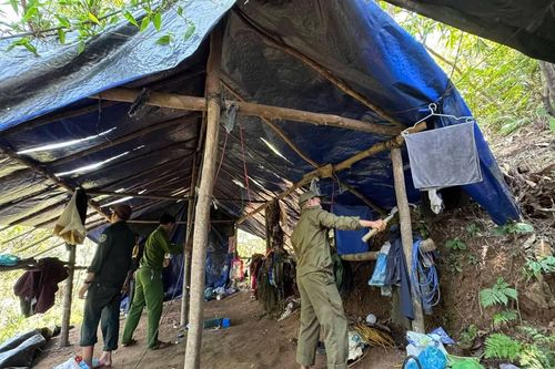 'Vàng tặc' dựng lán trại khai thác vàng trái phép ở Đà Nẵng