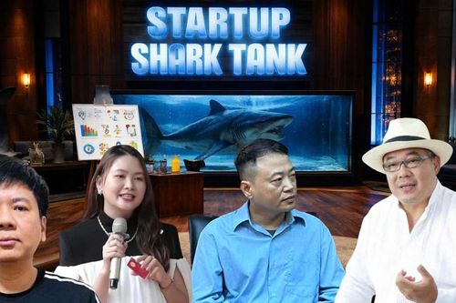 Vì sao dàn 'cá mập' và startup Shark Tank vướng vòng lao lý?