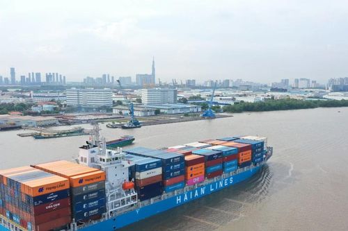 Tàu biển Việt Nam được giảm 10% giá dịch vụ hoa tiêu hàng hải